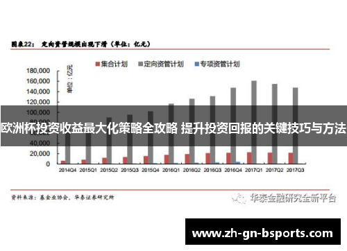 欧洲杯投资收益最大化策略全攻略 提升投资回报的关键技巧与方法