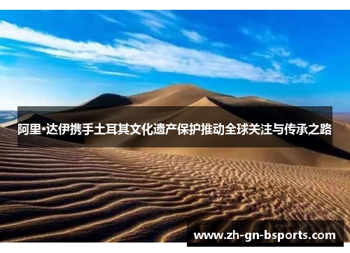 阿里·达伊携手土耳其文化遗产保护推动全球关注与传承之路 阿里·达伊携手土耳其文化遗产保护推动全球关注与传承之路